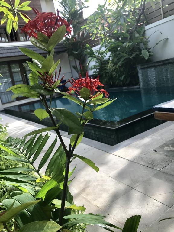 Villa Mudha 3 Sanur Exteriér fotografie