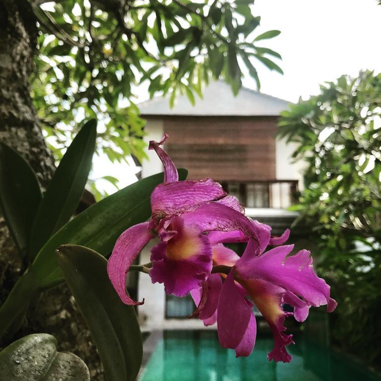 Villa Mudha 3 Sanur Exteriér fotografie